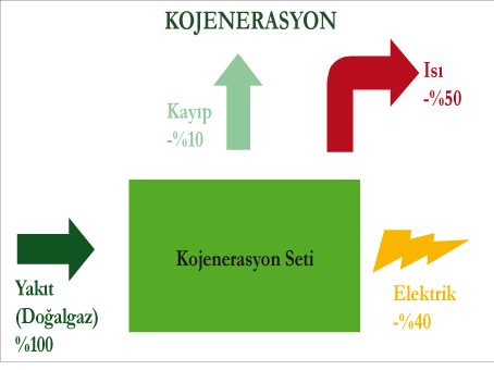 Neden Kojenerasyon?